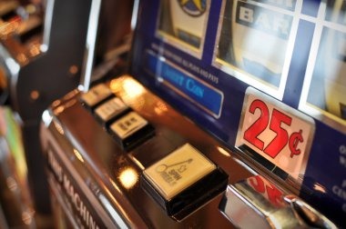 holywin99 Auto Roulette live table interface with betting layout